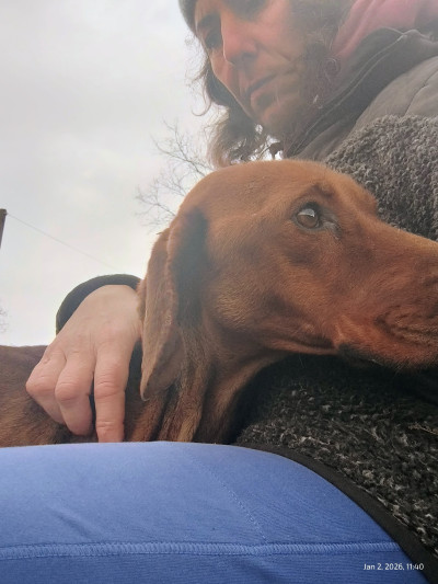 Зина търси своя човек