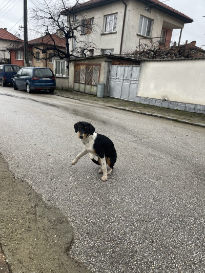 Searching for new home