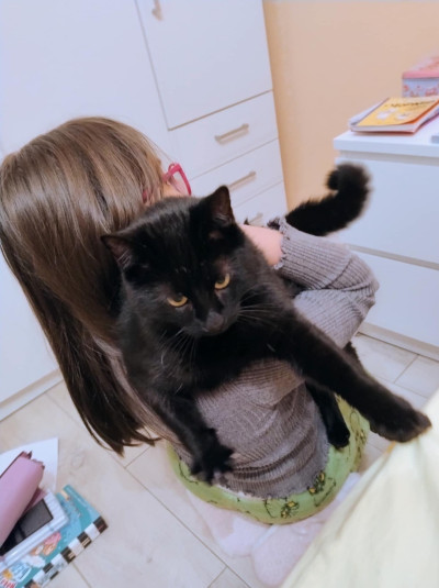 Дарки търси дом!