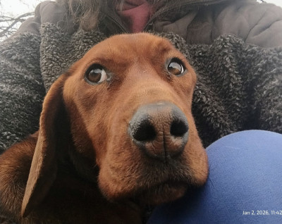 Зина търси своя човек