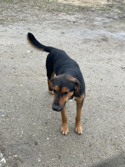 Searching for new home