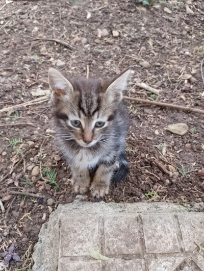 Пуханчо търси топлинка