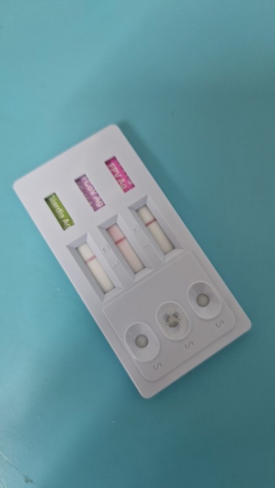 Спешно се търси дом за малко коте- герой