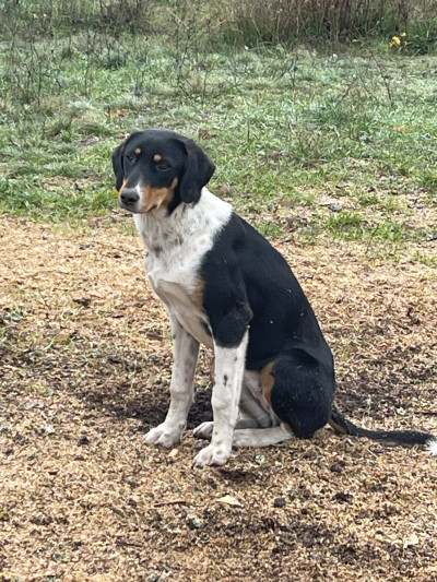 Searching for new home