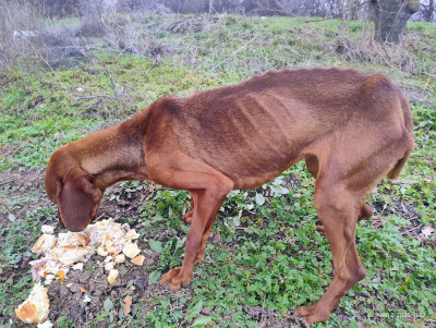 Зина търси своя човек