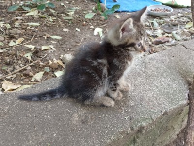 Пуханчо търси топлинка