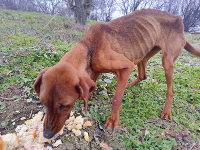 Зина търси своя човек