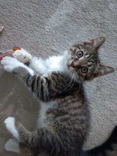 Да помогнем на Киану да намери своите хора