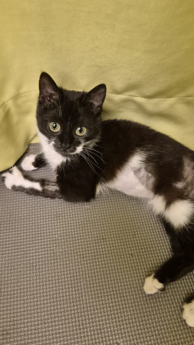  Йори е сграбчила живота с четири лапи! 