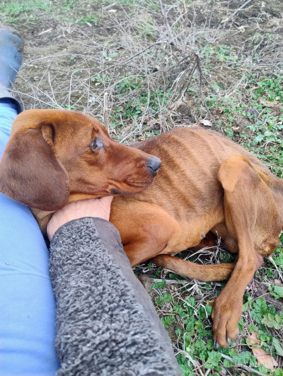 Зина търси своя човек