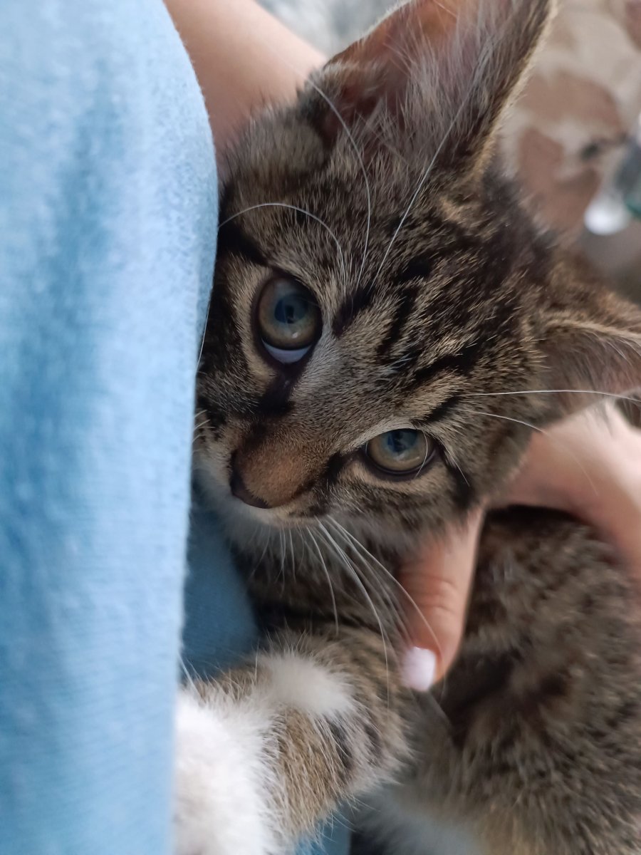 Да помогнем на Киану да намери своите хора