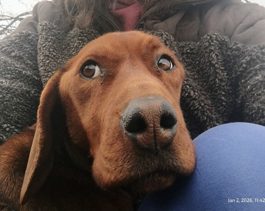 Зина търси своя човек